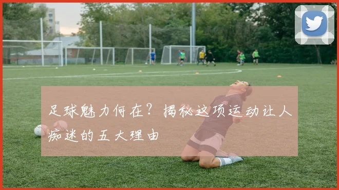 足球魅力何在?揭秘这项运动让人痴迷的五大理由