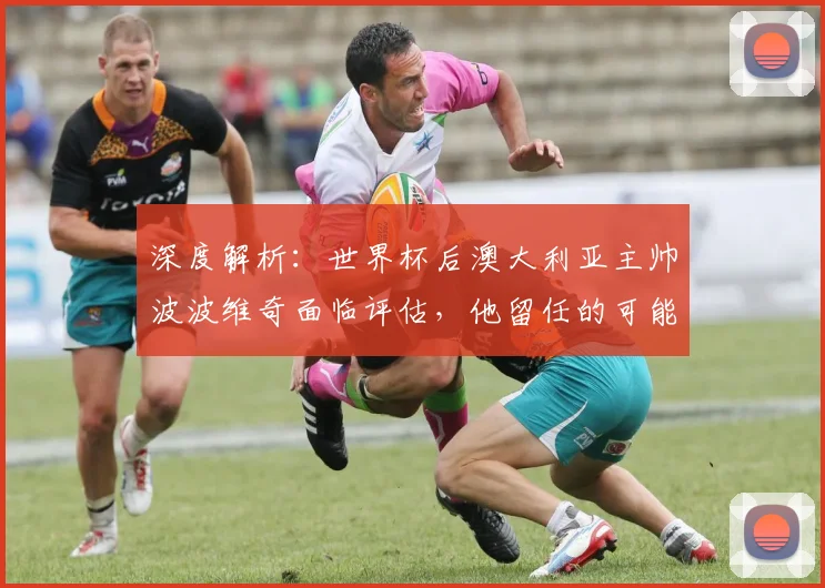 深度解析：世界杯后澳大利亚主帅波波维奇面临评估，他留任的可能性究竟有多大？